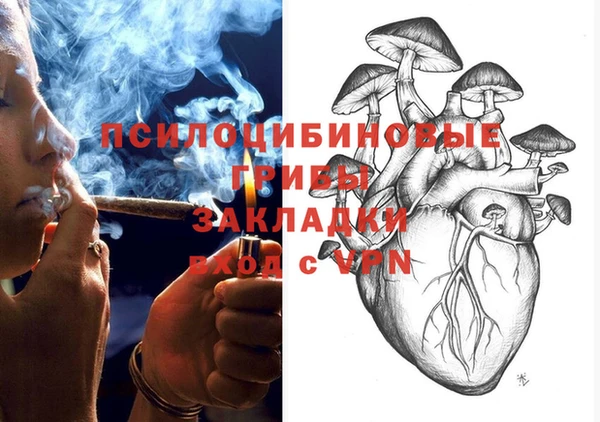 гидра Слюдянка