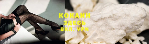 гидра Слюдянка