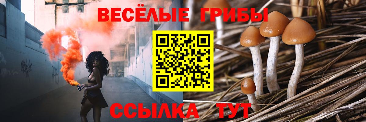 Шахты  купить  сайты  Вход с VPN  Галлюциногенные грибы MAGIC MUSHROOMS 