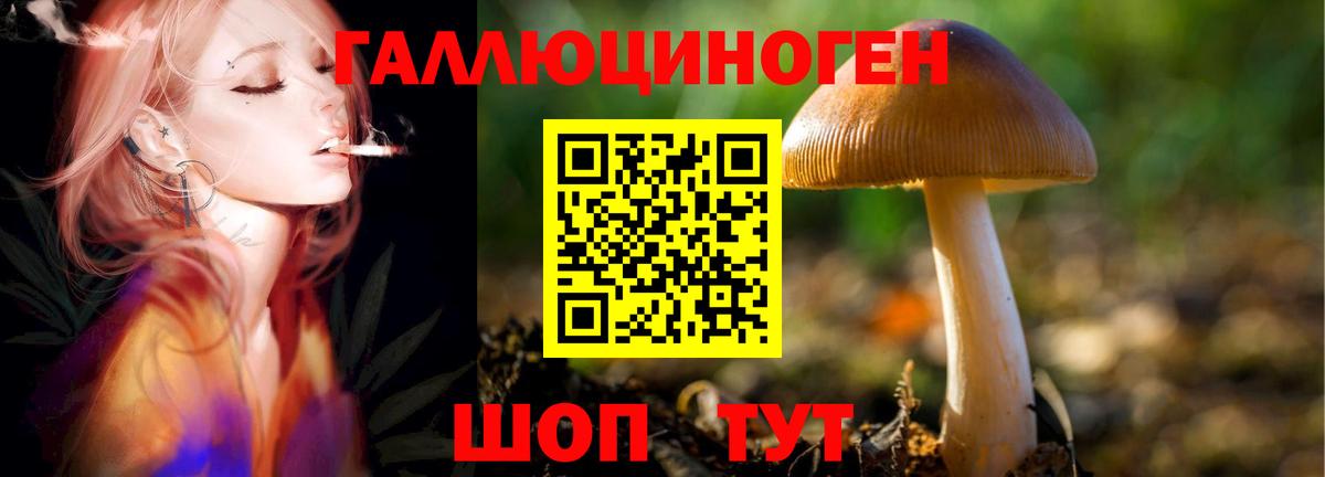 Псилоцибиновые грибы MAGIC MUSHROOMS Шахты